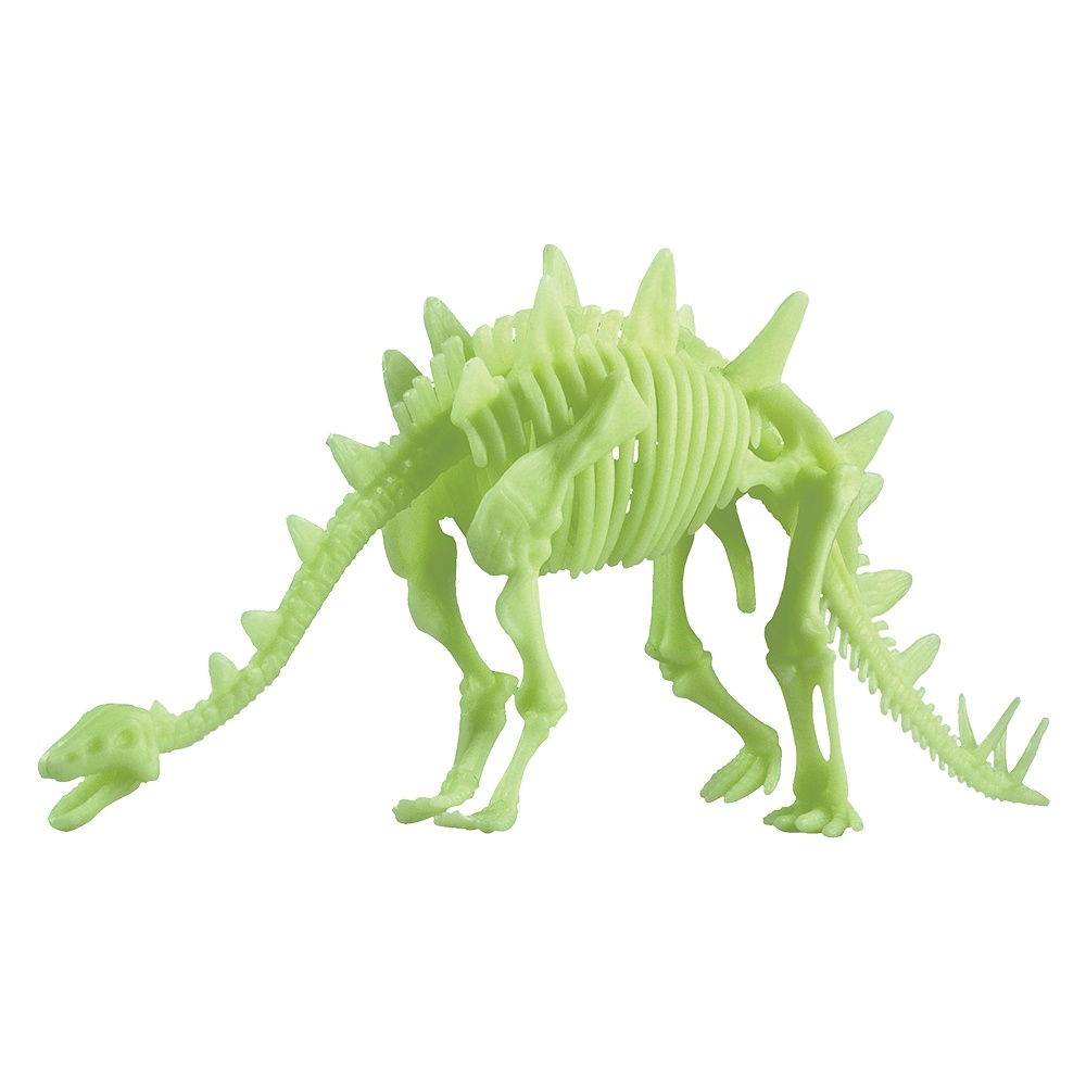 Edu-Toys - Glow in the Dark - Stegosaurus Skeleton - 26cm - Image 2