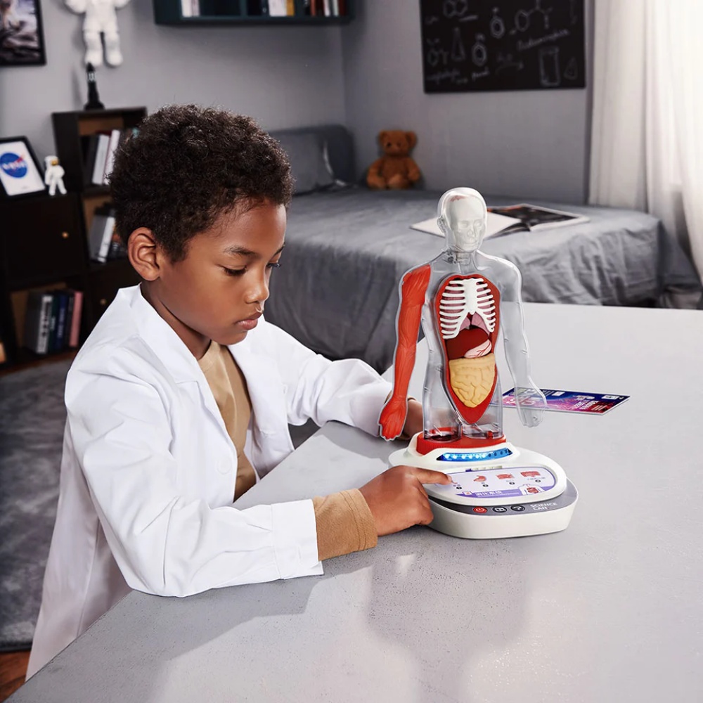 TopBright - My Body Voice Pedia Interactive Talking Anatomy Model for Kids - Image 2