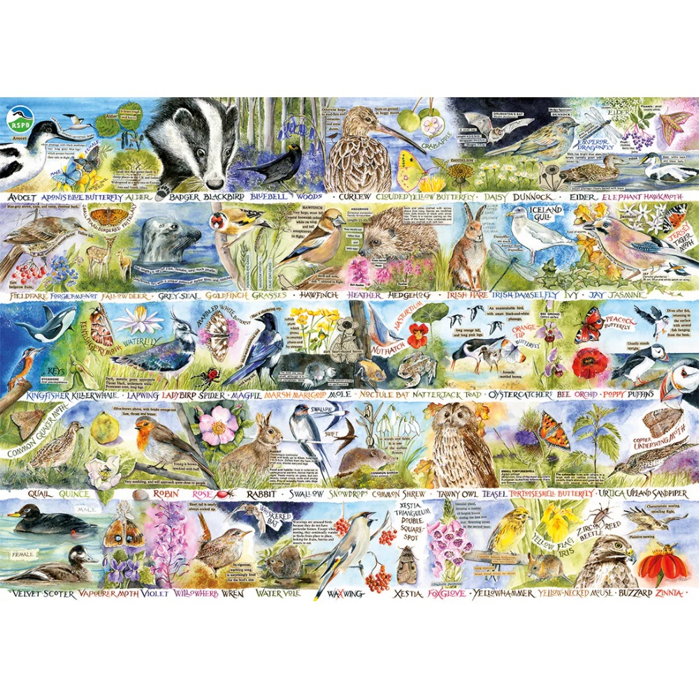 Gibsons - RSPB: Birdsong & Bluebells - 1000 Piece Jigsaw Puzzle - Image 2