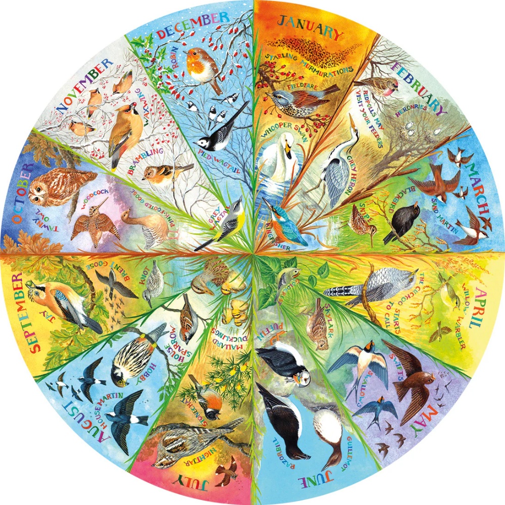 Gibsons - RSPB: Birds of the Year - 500 Piece Circular Jigsaw Puzzle - Image 2