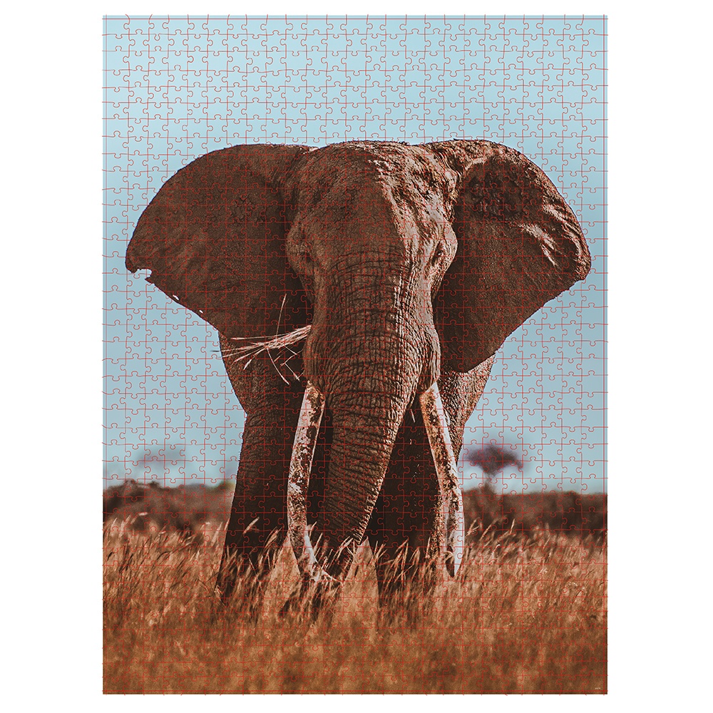 Ambassador - Photographers Collection 1000 Piece Puzzle - African Elephant - Image 2