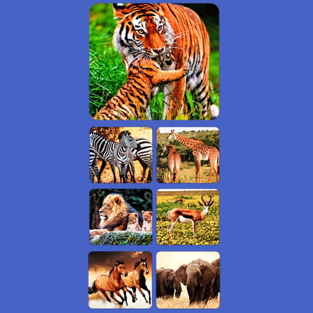 Mideer - 3D Filmscope Picture Viewer - Educational Exploration Set - Image 8