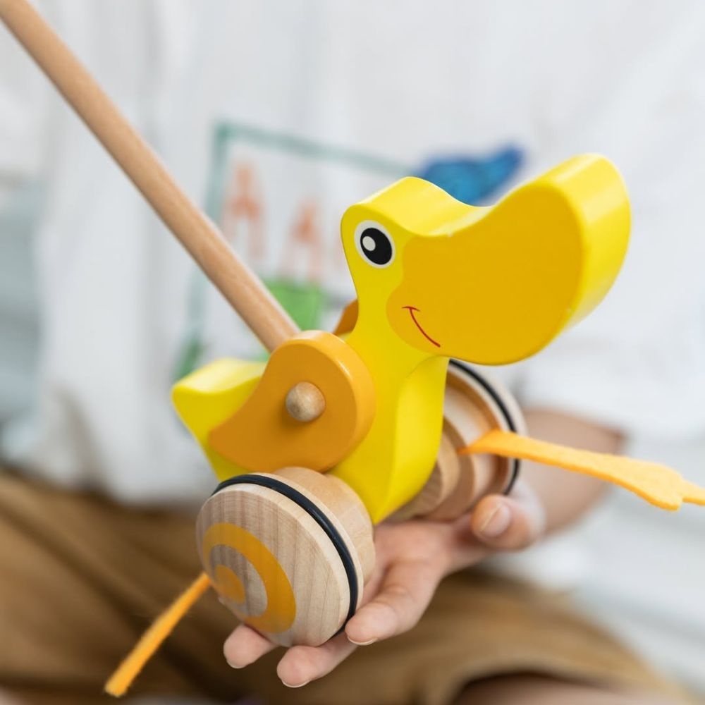 Classic World - Pull & Push Toy - Duck - Image 5