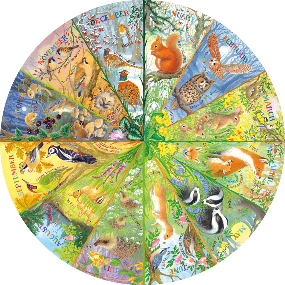 Gibsons - National Trust: A Year in the Forest - 500 Piece Circular Jigsaw Puzzle - Image 2