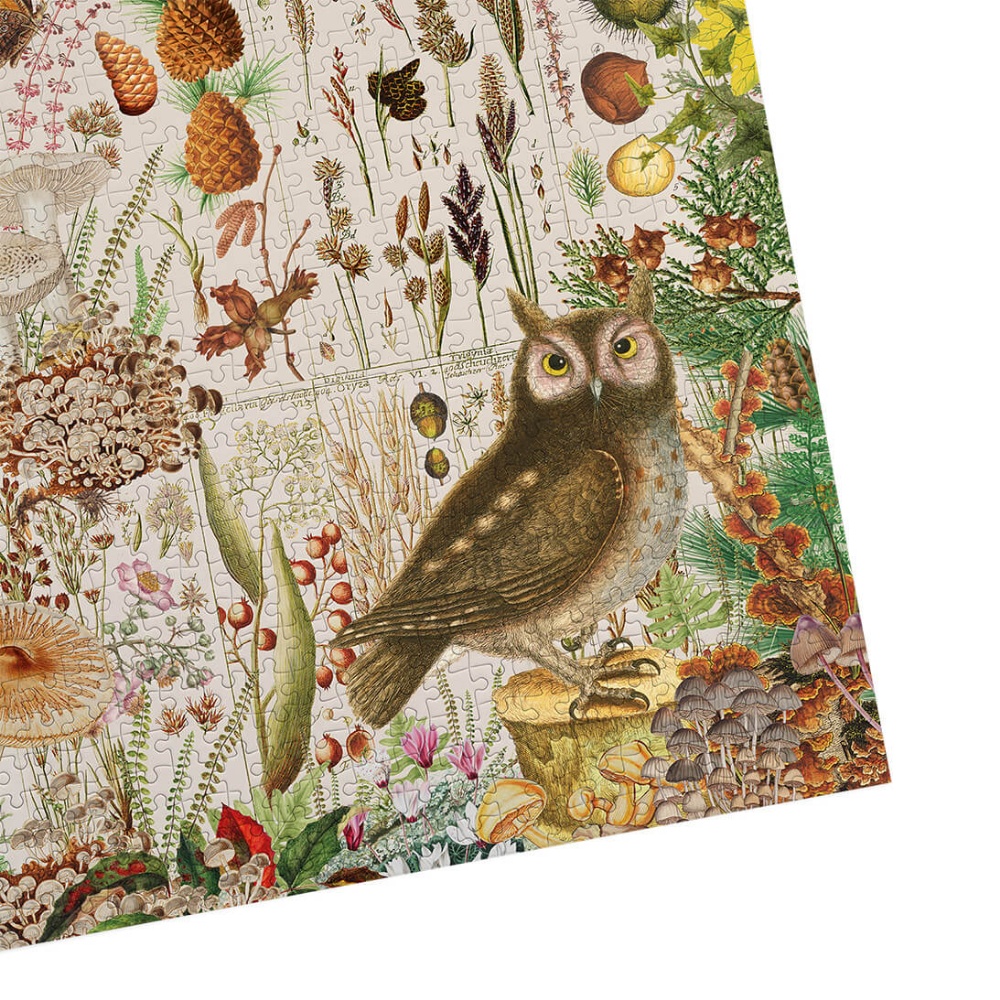 Gibsons - RHS: Fall Flora - 1000 Piece Jigsaw Puzzle - Image 5