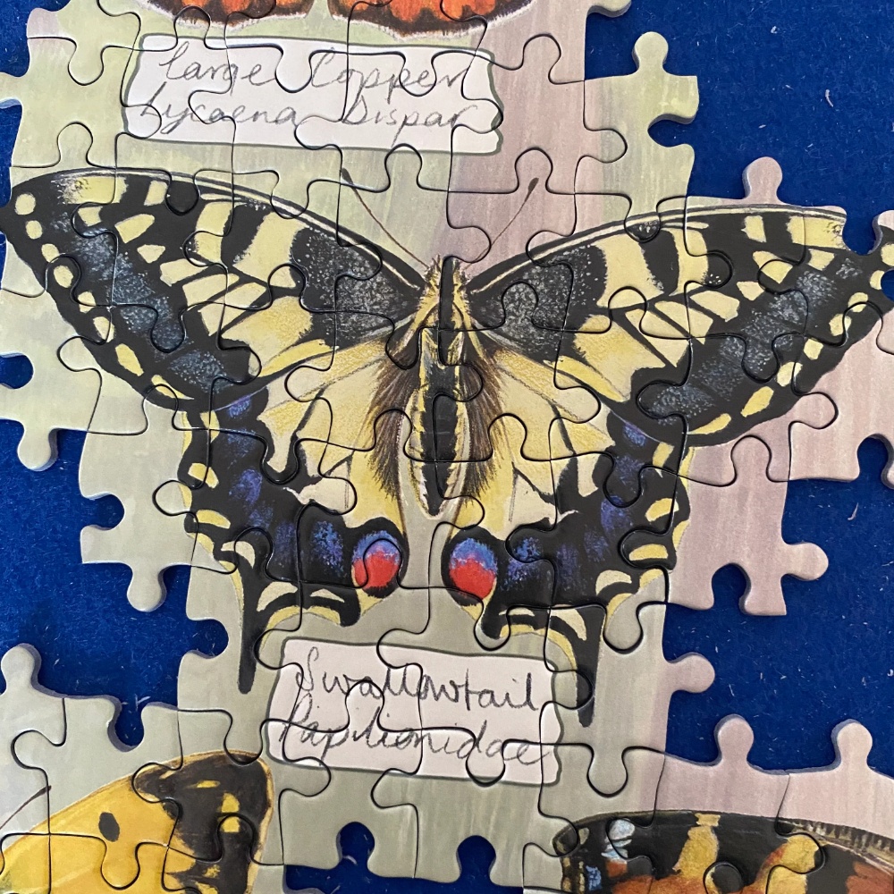 Gibsons - Beautiful Butterflies - 1000 Piece Jigsaw Puzzle - Image 4