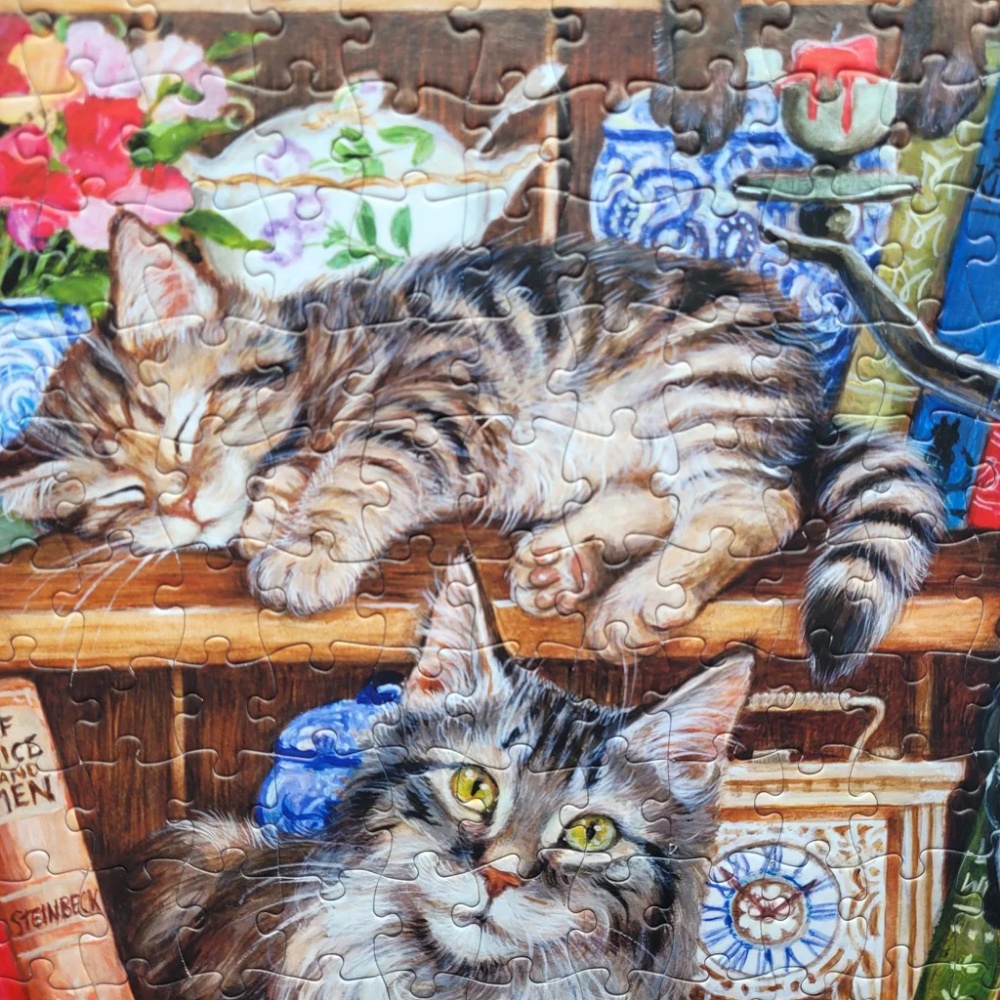 Gibsons - Puss Back in Books - XL Pieces - 500 Piece Jigsaw Puzzle - Image 3