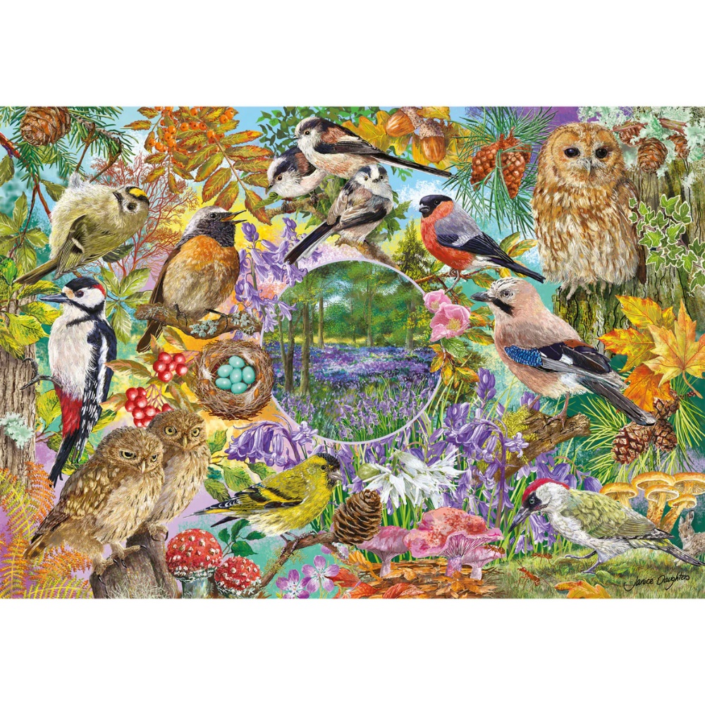 Gibsons - RSPB: Wings in the Wild - 4 x 500 Piece Jigsaw Puzzles - Image 3