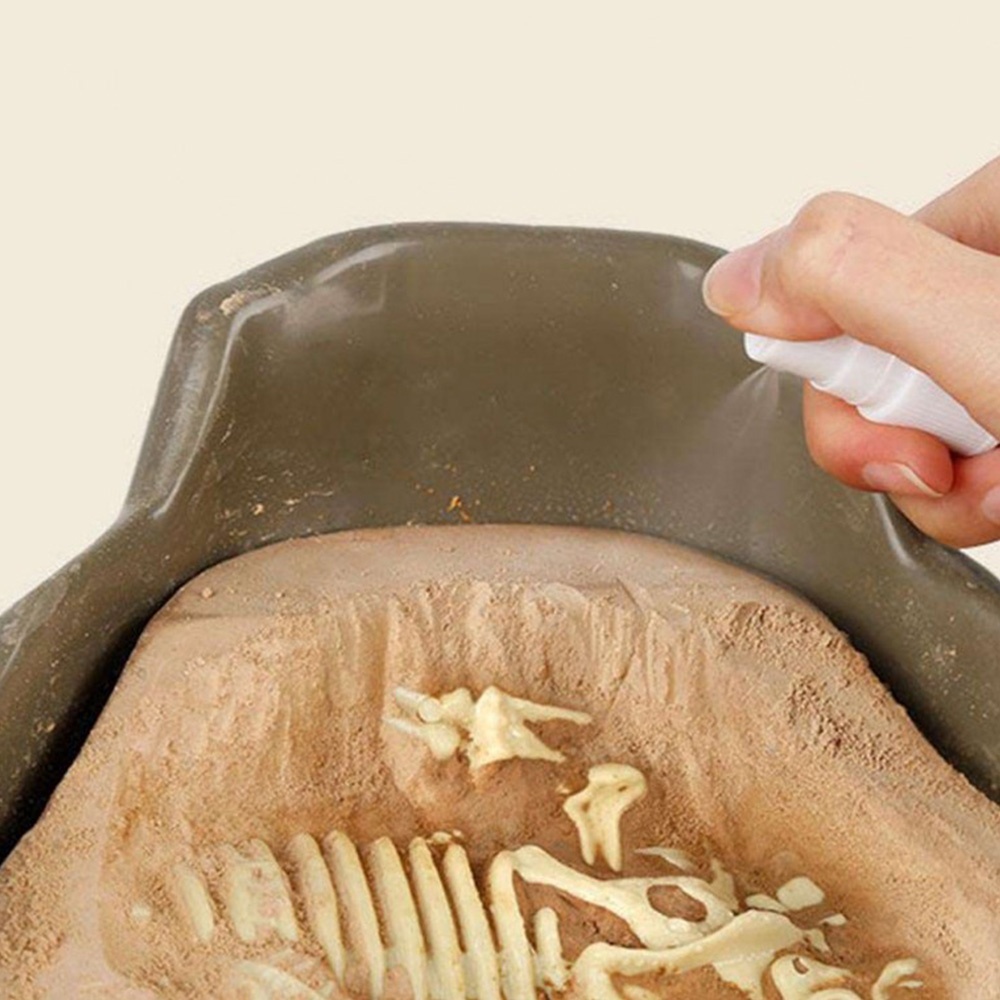 TopBright - Dinosaur Fossil Dig Kit - Mesozoic - Image 6