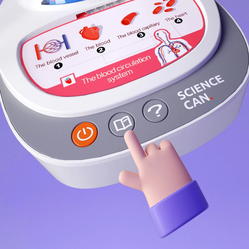 TopBright - My Body Voice Pedia Interactive Talking Anatomy Model for Kids - Image 4