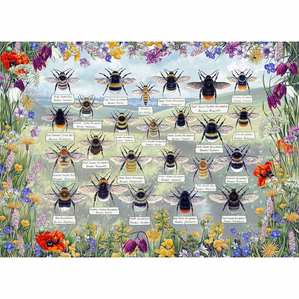 Gibsons - Brillant Bees - 1000 Piece Jigsaw Puzzle - Image 2