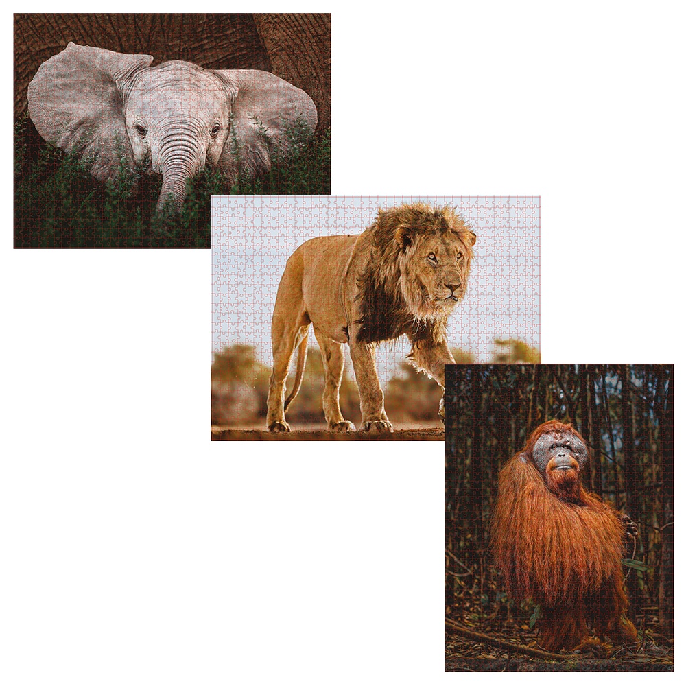 Ambassador - Photographers Collection: 3 x 1000 Piece Puzzle Bundle - Into the Wild - Image 2