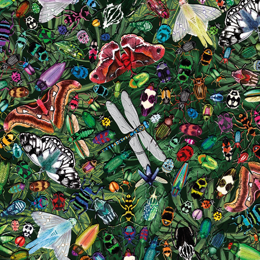Gibsons - The Art File: Winged Wonders - 1000 Piece Jigsaw Puzzle - Image 3