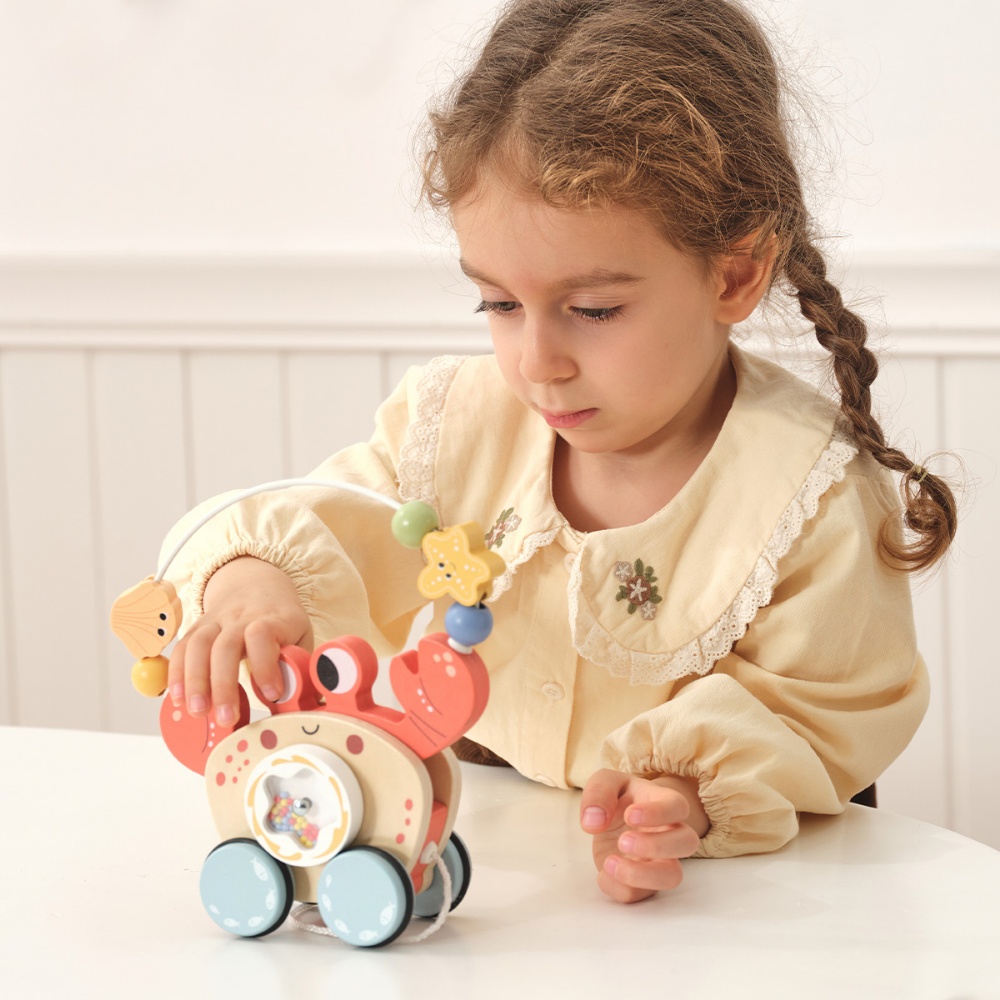 TookyToy - Wooden Pull Along Crab Bead Maze Toy - Image 4