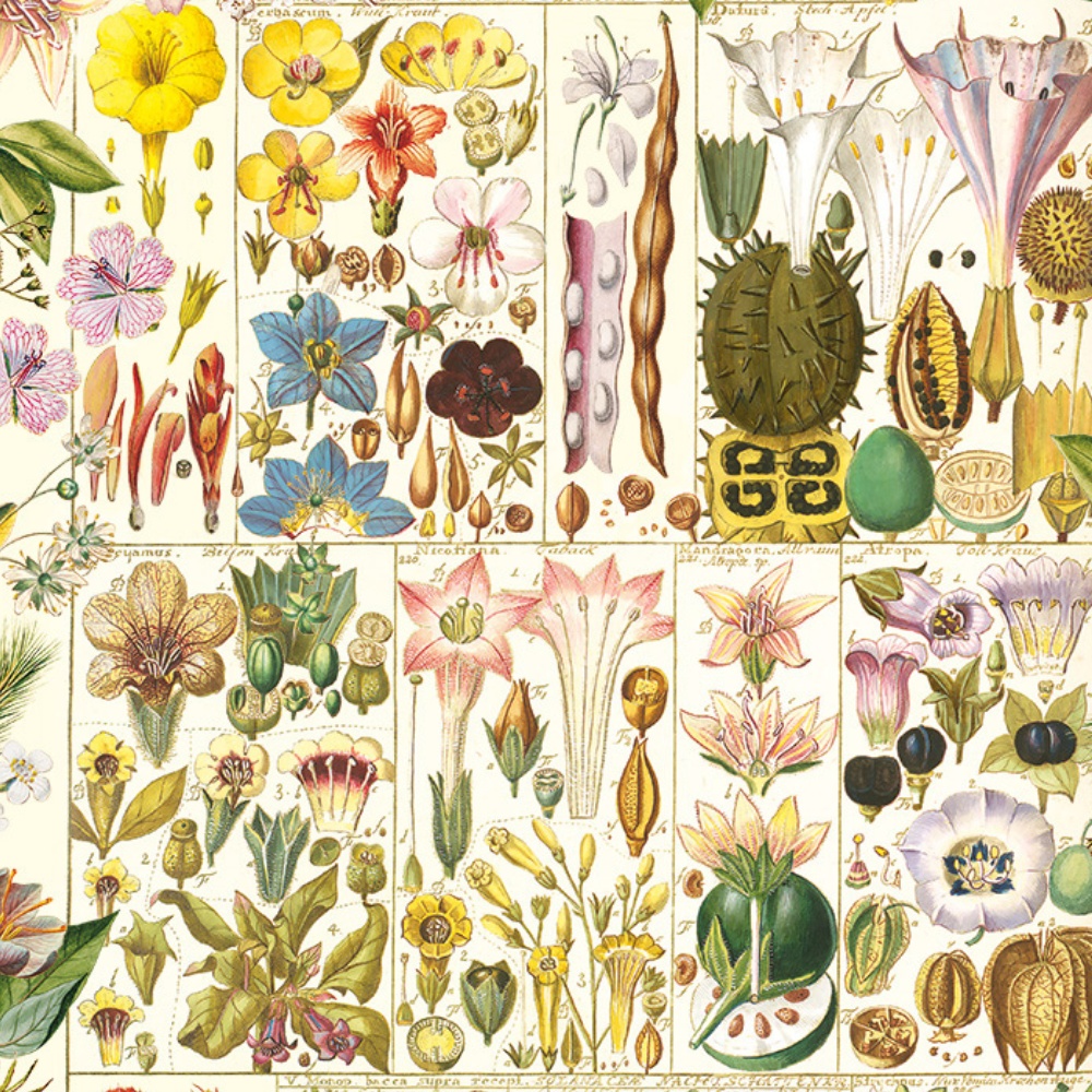 Gibsons - RHS: Botanical Bliss - 1000 Piece Jigsaw Puzzle - Image 3