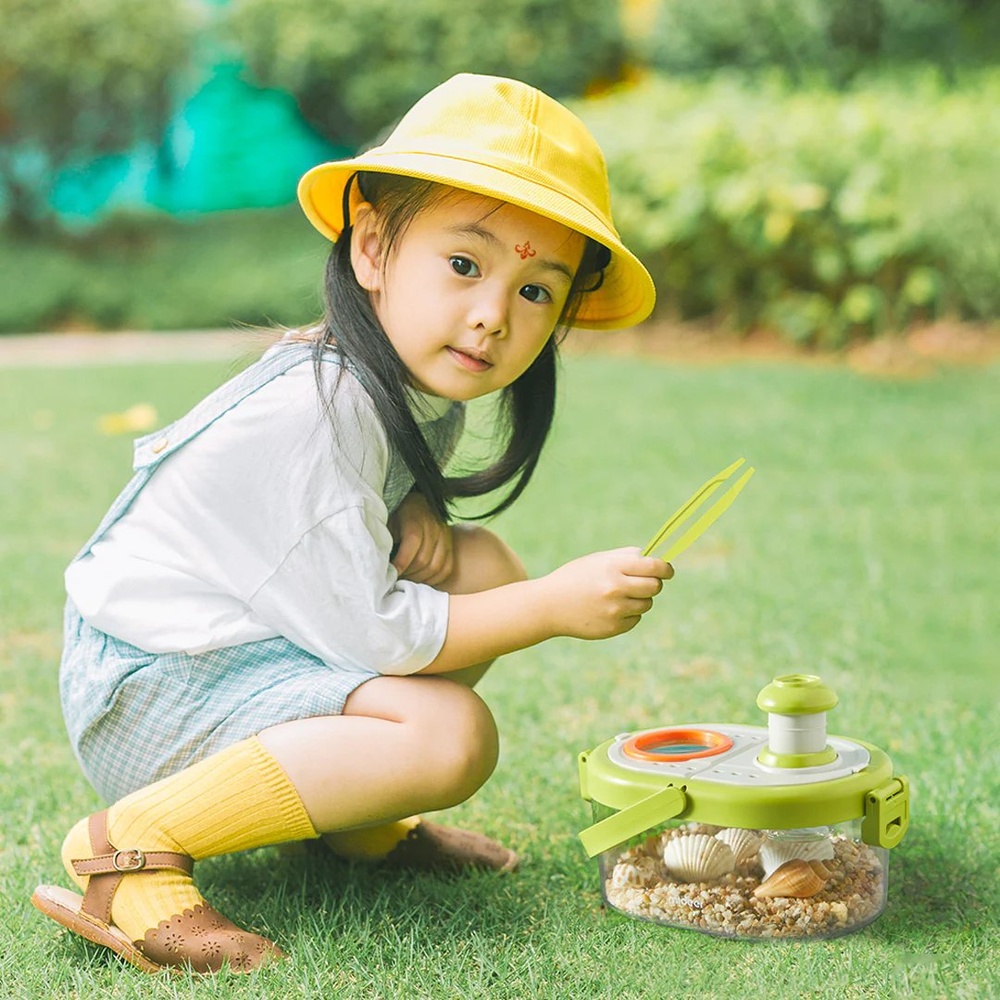 Mideer - Bug Observation Box: Science Exploration Kit - Image 5