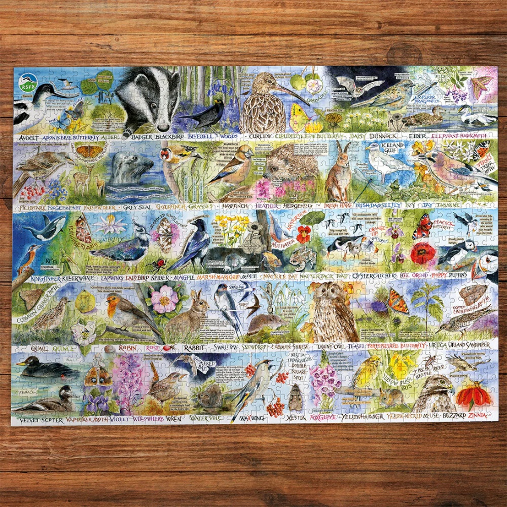 Gibsons - RSPB: Birdsong & Bluebells - 1000 Piece Jigsaw Puzzle - Image 3