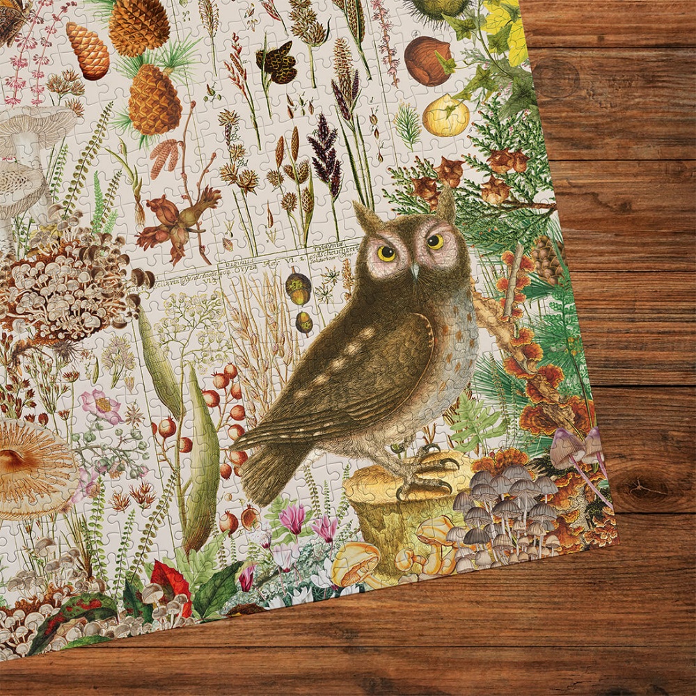 Gibsons - RHS: Fall Flora - 1000 Piece Jigsaw Puzzle - Image 3