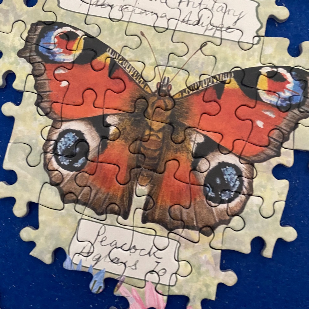 Gibsons - Beautiful Butterflies - 1000 Piece Jigsaw Puzzle - Image 5