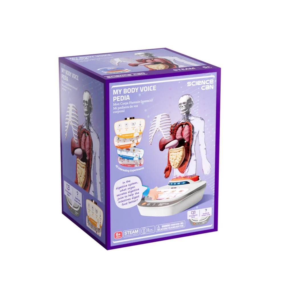 TopBright - My Body Voice Pedia Interactive Talking Anatomy Model for Kids - Image 6