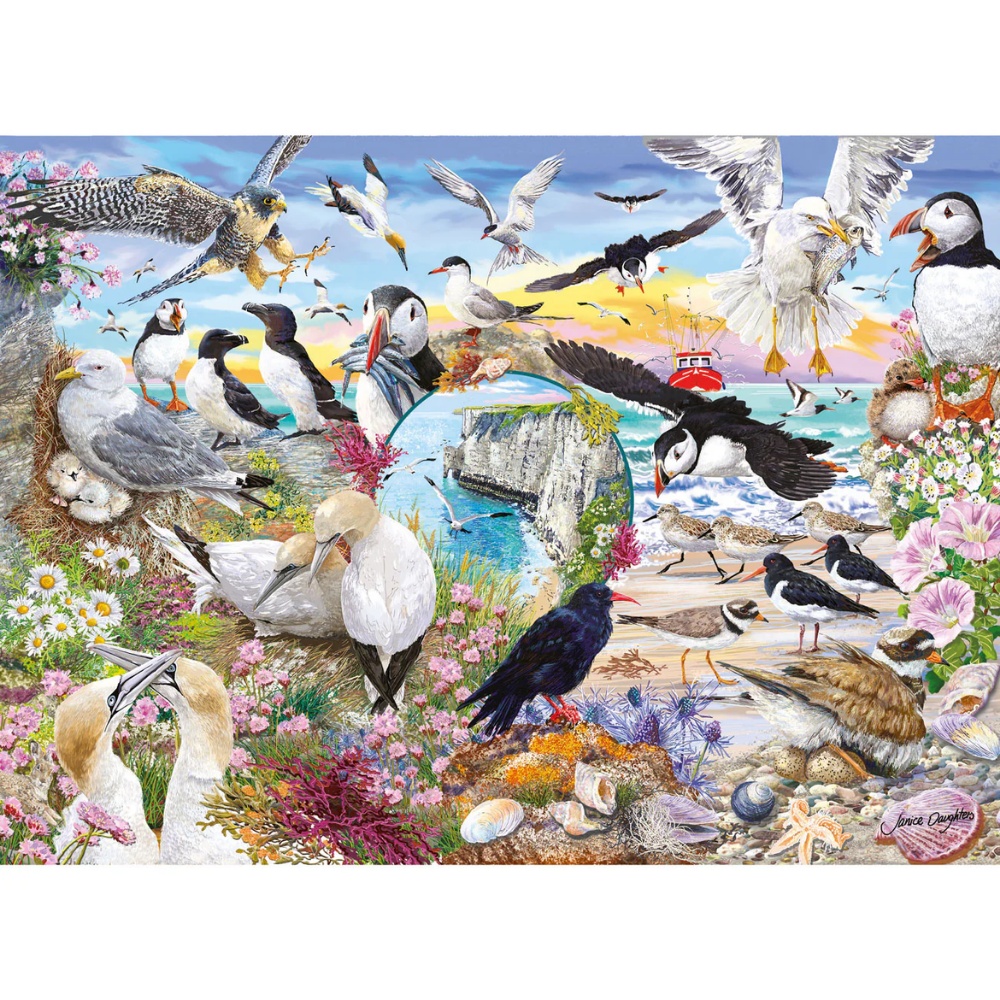 Gibsons - RSPB: Wings in the Wild - 4 x 500 Piece Jigsaw Puzzles - Image 2