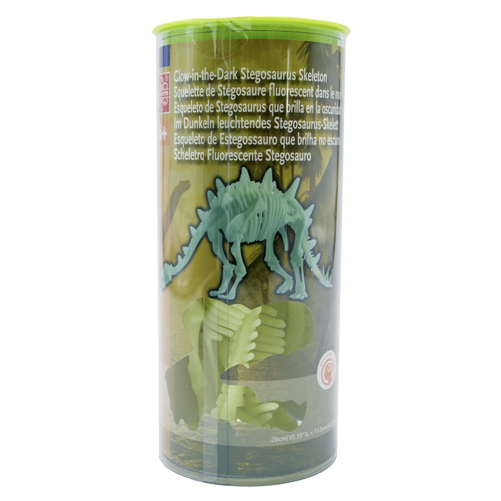 Edu-Toys - Glow in the Dark - Stegosaurus Skeleton - 26cm - Image 3