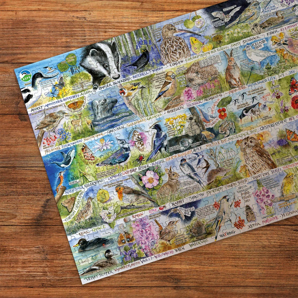 Gibsons - RSPB: Birdsong & Bluebells - 1000 Piece Jigsaw Puzzle - Image 4