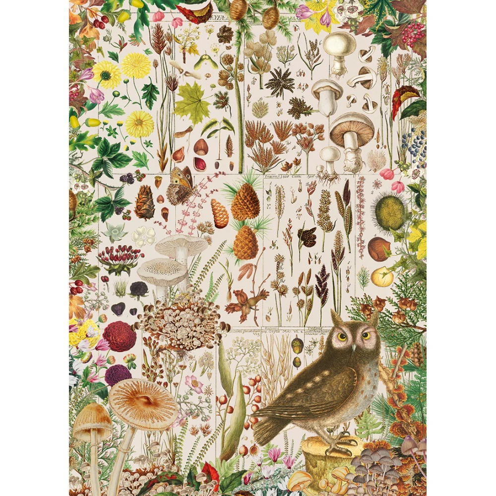 Gibsons - RHS: Fall Flora - 1000 Piece Jigsaw Puzzle - Image 4