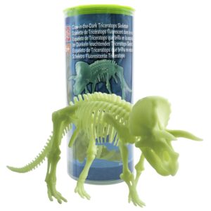 Edu-Toys - Glow in the Dark - Triceratops Skeleton - 22cm