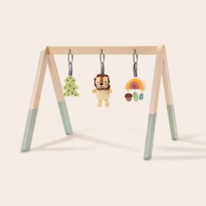 TookyToy - Portable Baby Gym & Mobile