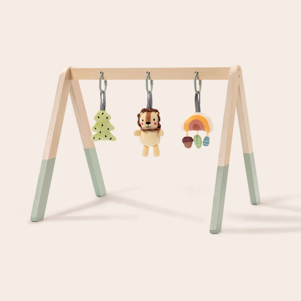 TookyToy - Portable Baby Gym & Mobile