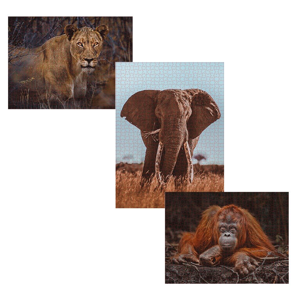 Ambassador - Photographers Collection: 3 x 1000 Piece Puzzle Bundle - Elephant, Lioness and Orangutan - Image 2