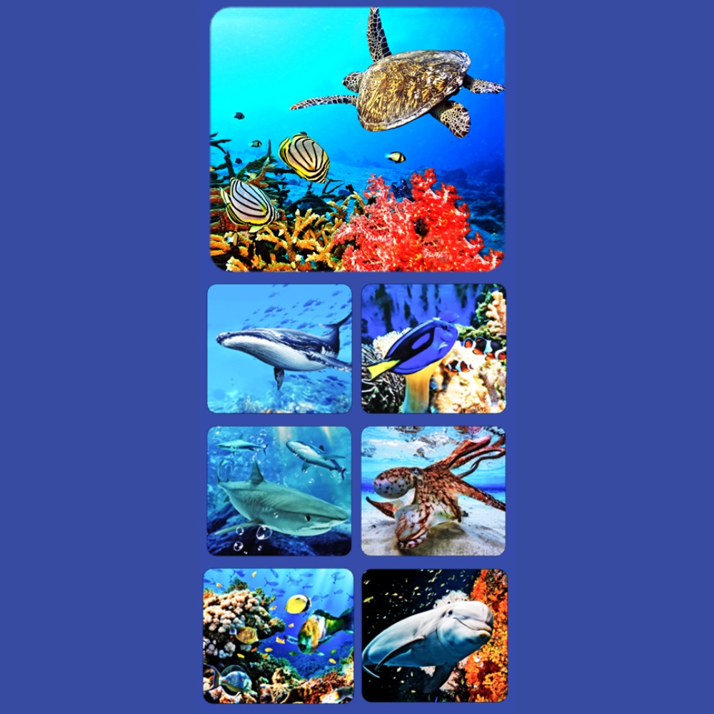 Mideer - 3D Filmscope Picture Viewer - Educational Exploration Set - Image 6
