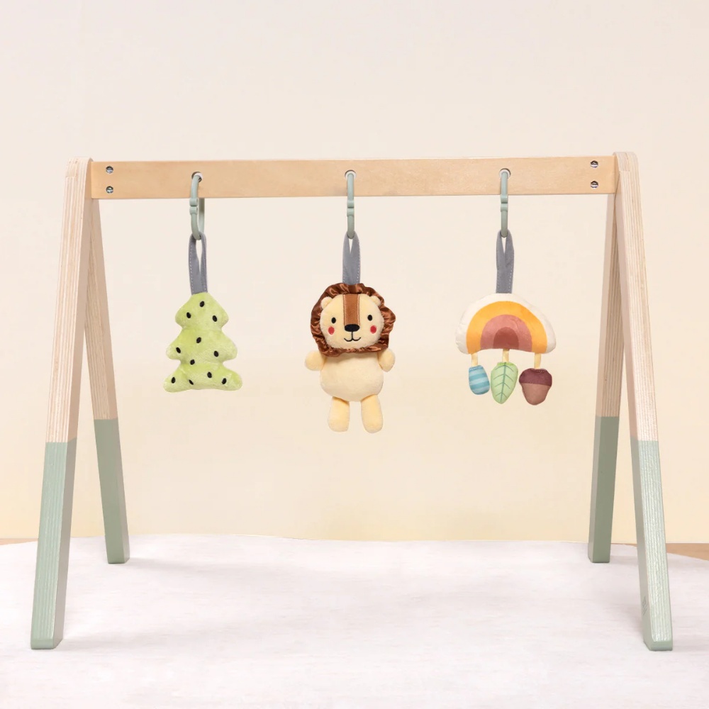 TookyToy - Portable Baby Gym & Mobile - Image 2