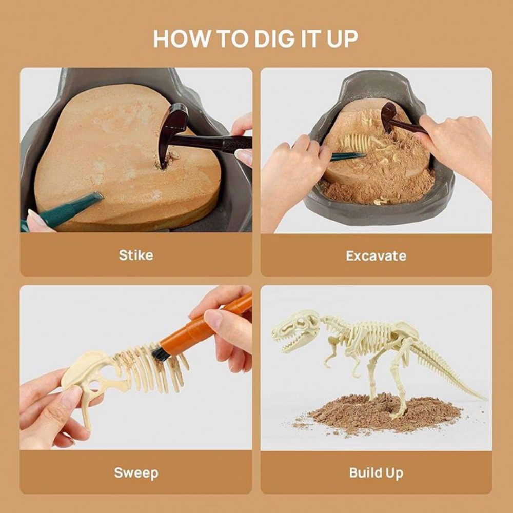 TopBright - Dinosaur Fossil Dig Kit - Mesozoic - Image 4