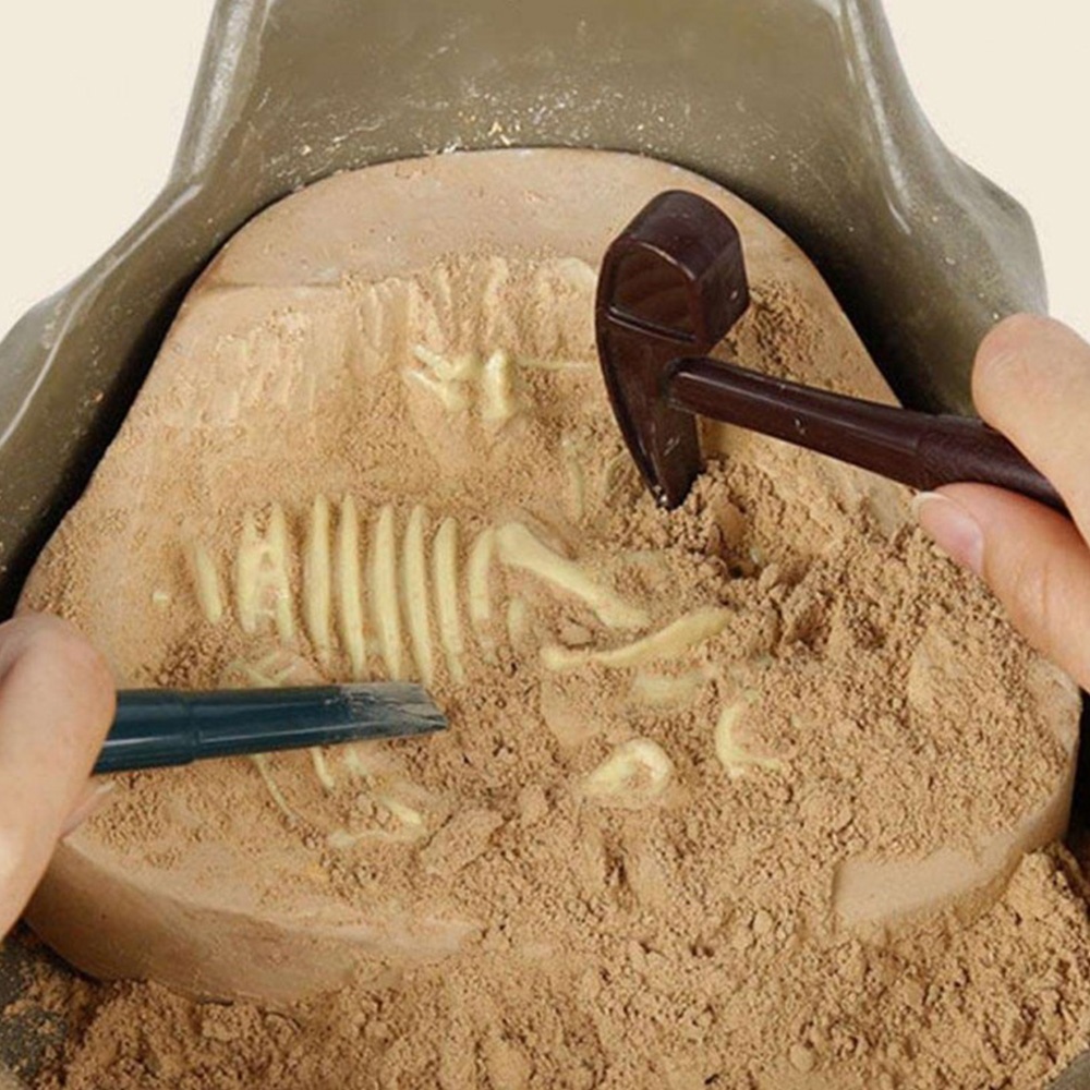 TopBright - Dinosaur Fossil Dig Kit - Mesozoic - Image 5