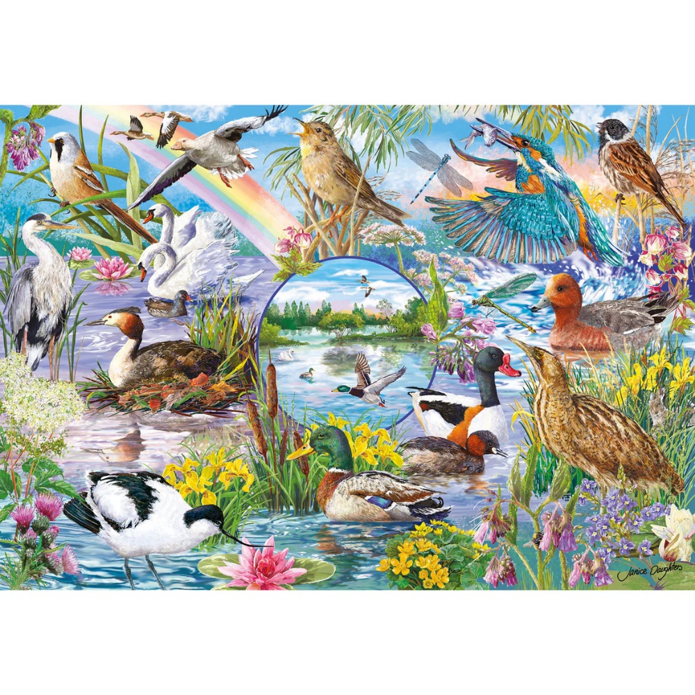 Gibsons - RSPB: Wings in the Wild - 4 x 500 Piece Jigsaw Puzzles - Image 4