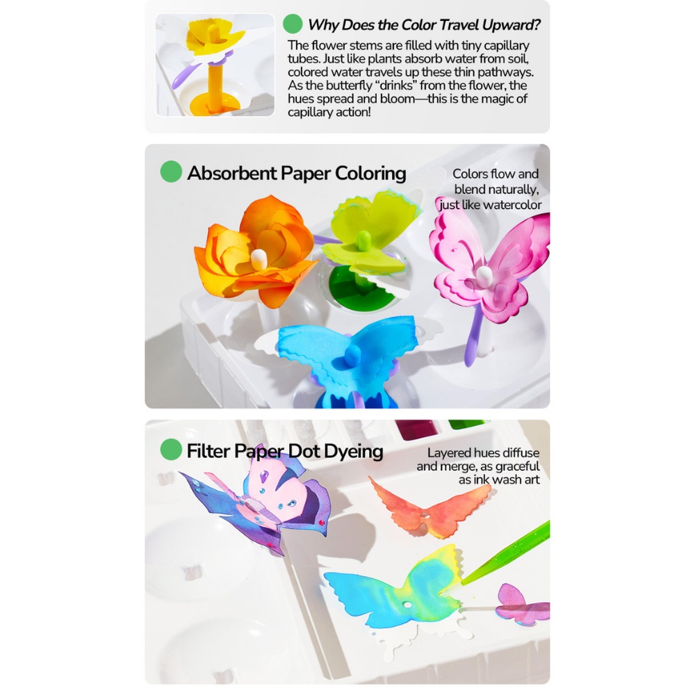 Mideer - Paper Butterly Craft Kit - Creative Arts & Crafts Set - Image 2