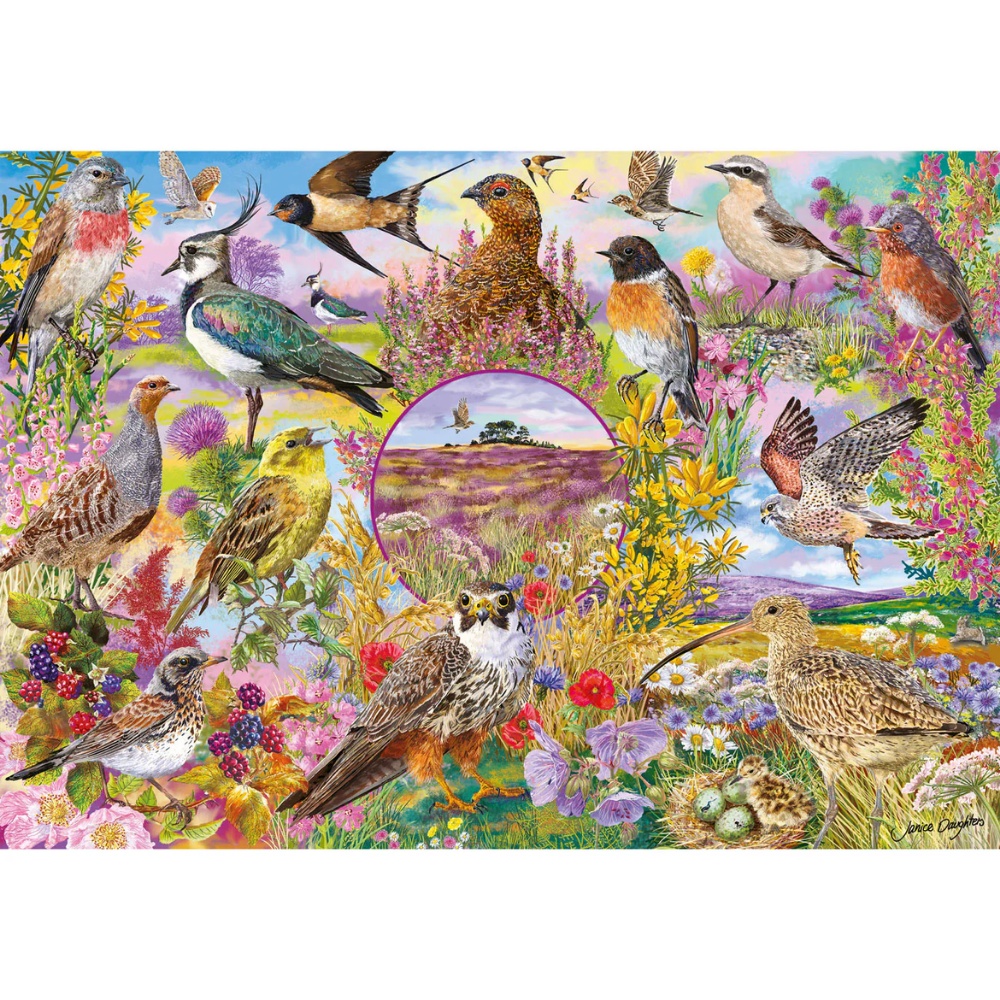 Gibsons - RSPB: Wings in the Wild - 4 x 500 Piece Jigsaw Puzzles - Image 5