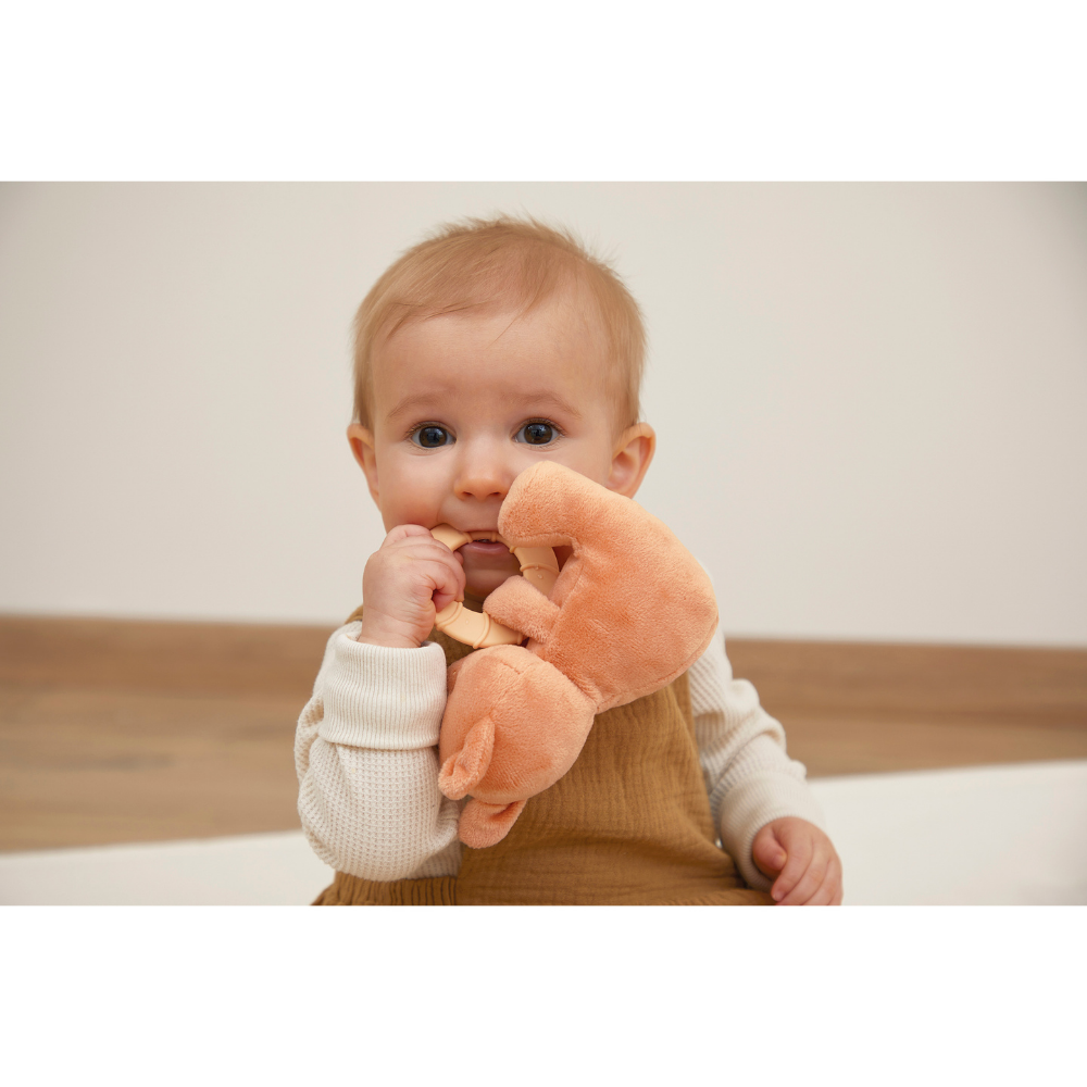 Kaloo - Squirrel Plush Teething Ring - Image 5